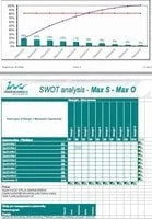Ukázka šablony pro SWOT analýzu | Vlastní cesta