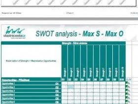 Ukázka šablony pro SWOT analýzu | Vlastní cesta