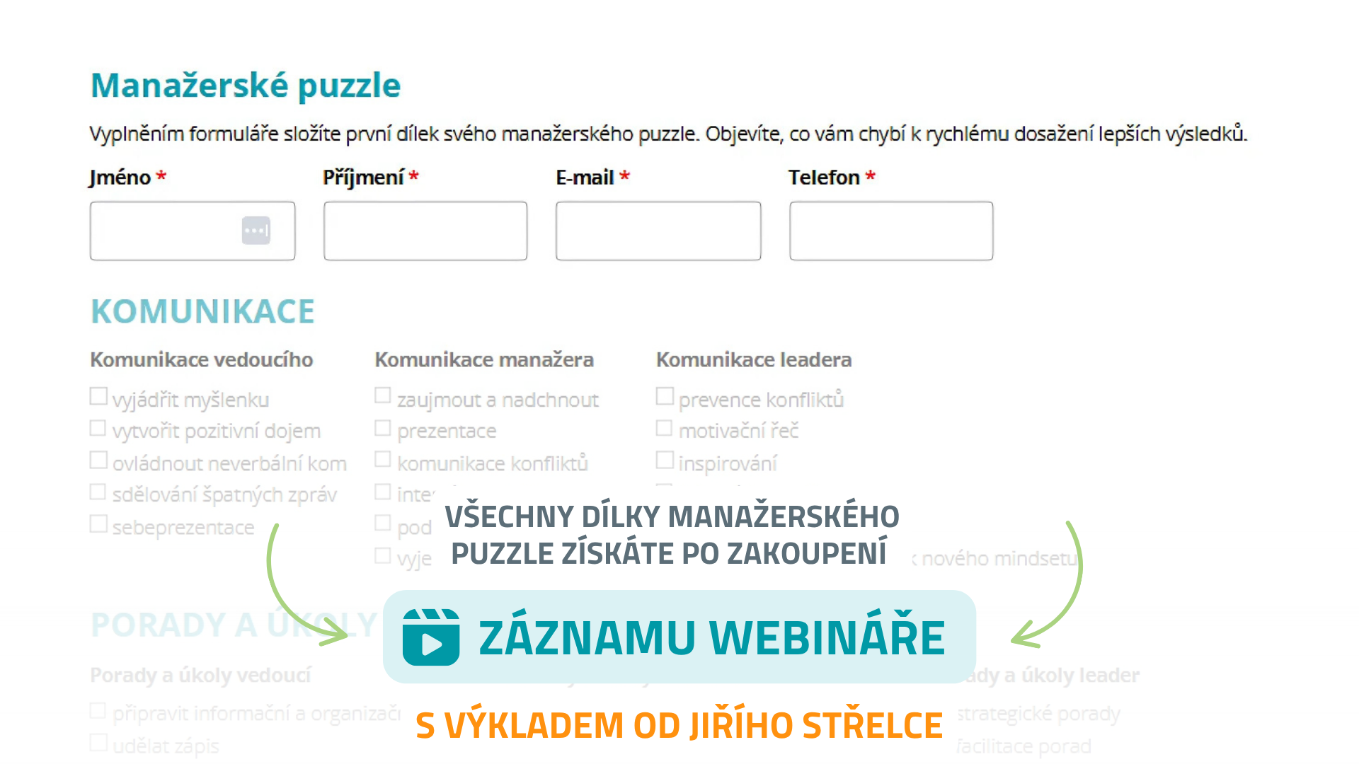 Náhled modelu Management jako puzzle